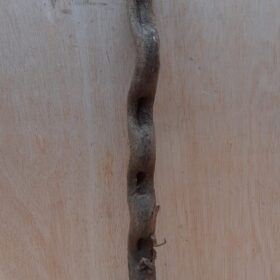 Monkey Ladder Liana - Short - 10