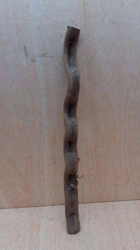 Monkey Ladder Liana - Short - 10