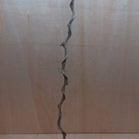 Curved Liana - Long - 1