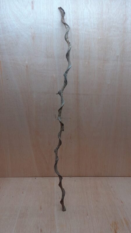 Curved Liana - Long - 1