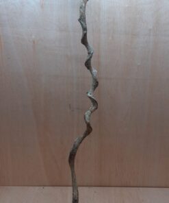 Curved Liana - Long - 2