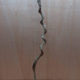 Curved Liana - Long - 2