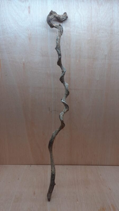 Curved Liana - Long - 2