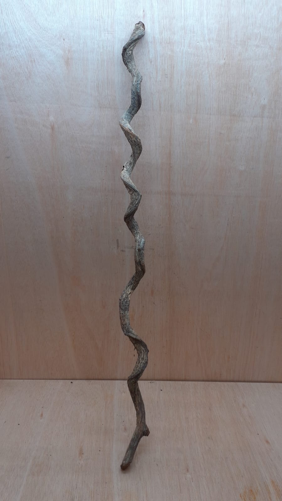 Curved Liana - Long - 3