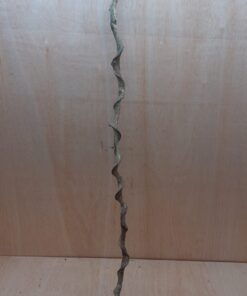 Curved Liana - Long - 10