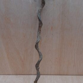 Curved Liana - Short - 3