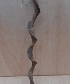 Curved Liana - Short - 6