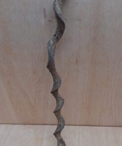 Curved Liana - Short - 9