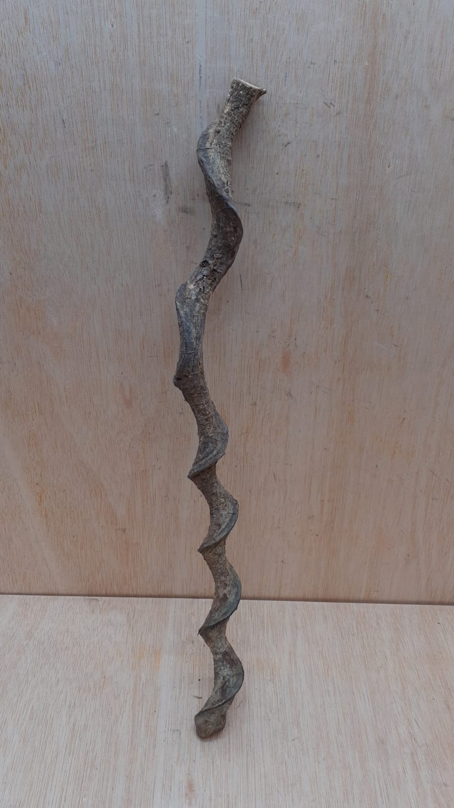 Curved Liana - Short - 9