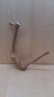 Java Wood - Double Stem - Medium 8