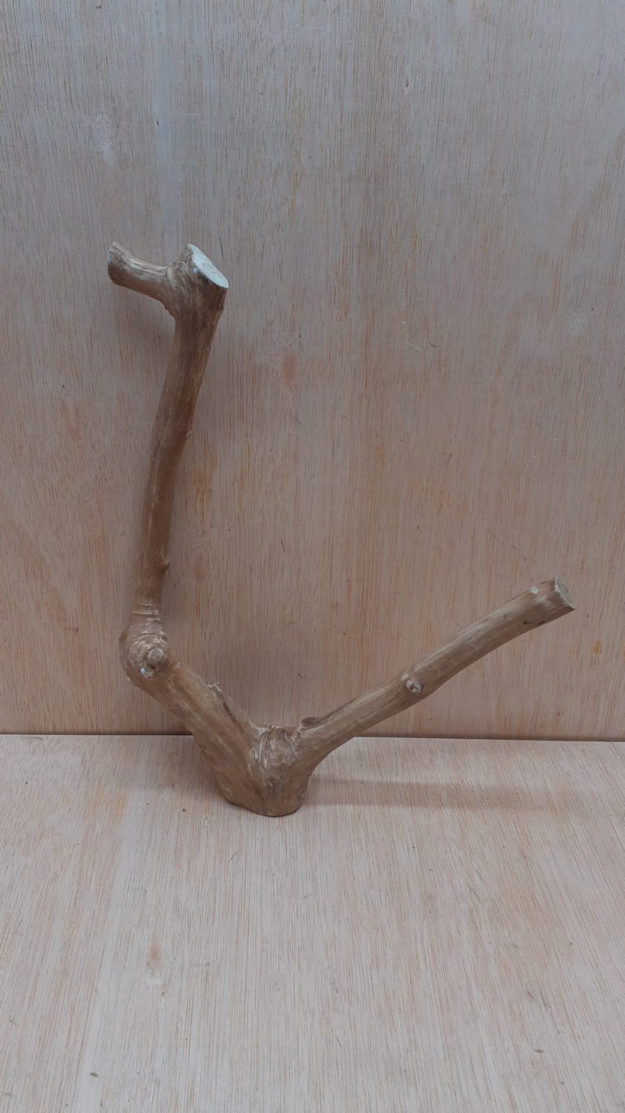 Java Wood - Double Stem - Medium 8