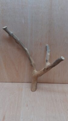 Java Wood - Double Stem - Medium 9