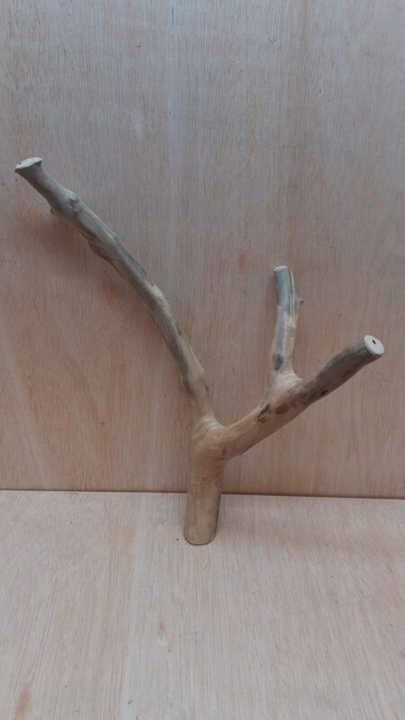 Java Wood - Double Stem - Medium 9