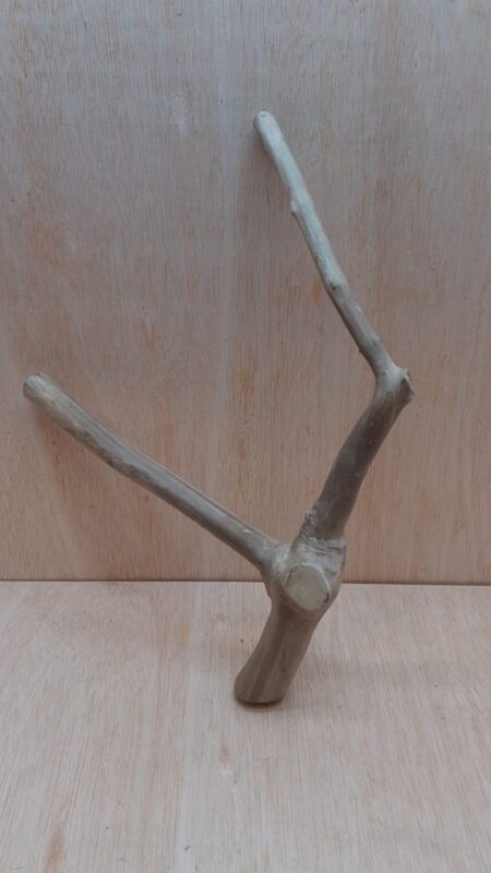 Java Wood - Double Stem - Medium 10