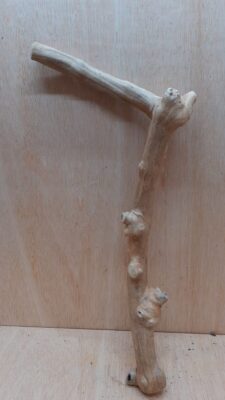 Java Wood - Single Stem - Large 4