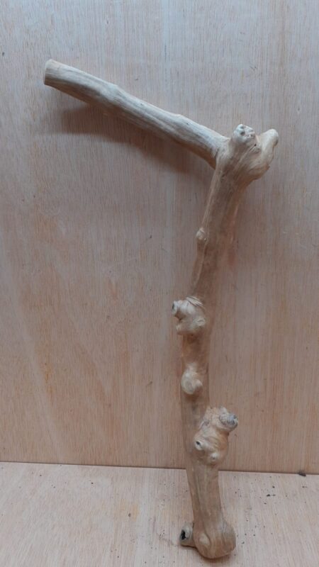 Java Wood - Single Stem - Large 4