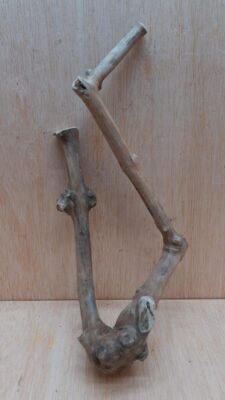 Java Wood - Double Stem - Small 8