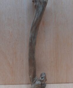 Java Wood - Single Stem - Medium 1