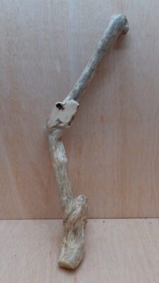 Java Wood - Single Stem - XL 1