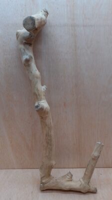 Java Wood - Double Stem - XL 8