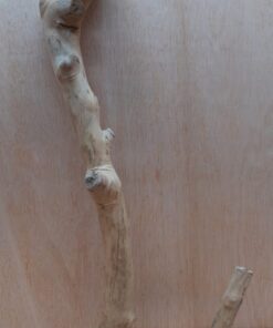 Java Wood - Double Stem - XL 8