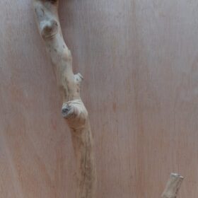 Java Wood - Double Stem - XL 8