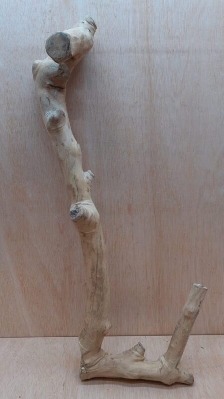 Java Wood - Double Stem - XL 8