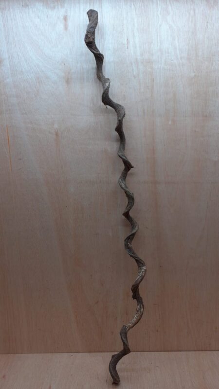 Curved Liana - Long - 4