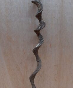 Curved Liana - Short - 8