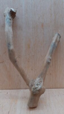 Java Wood - Double Stem - Small 1