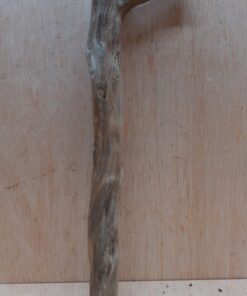 Java Wood - Single Stem - Small 10
