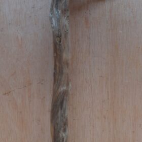 Java Wood - Single Stem - Small 10