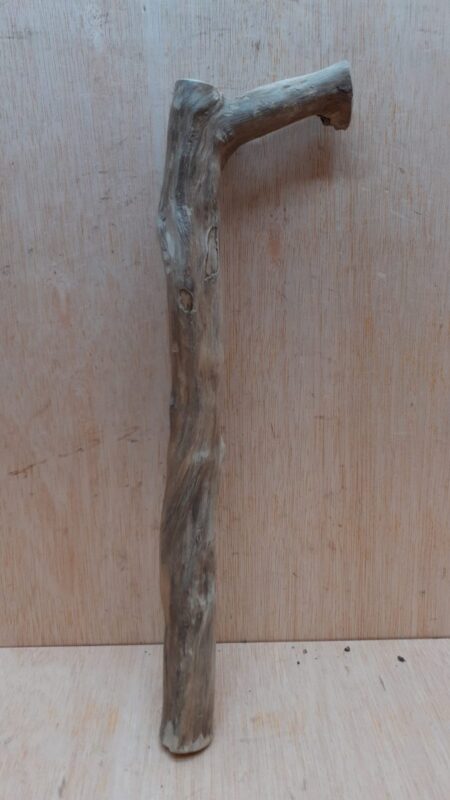 Java Wood - Single Stem - Small 10