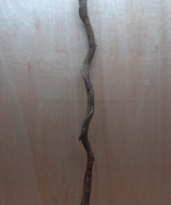 Curved Liana - Long - 5