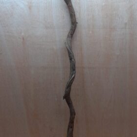 Curved Liana - Long - 5