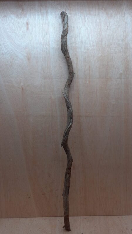 Curved Liana - Long - 5