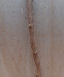 Straight Liana 2-3cm - Short - 2