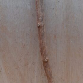 Straight Liana 2-3cm - Short - 2