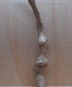 Java Wood - Single Stem - XL 3