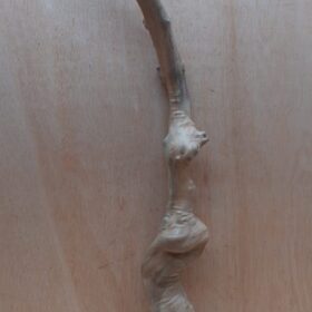 Java Wood - Single Stem - XL 3