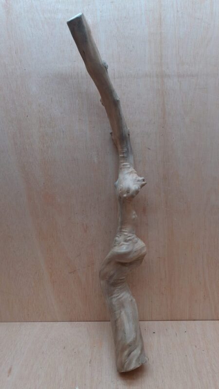 Java Wood - Single Stem - XL 3