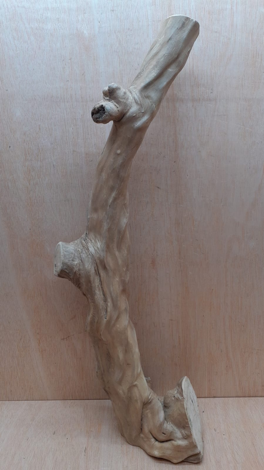 Java Wood - Single Stem - XL 10