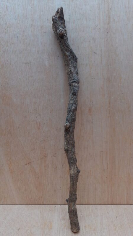 Curved Liana - Short - 7