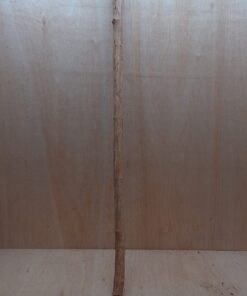 Straight Liana 2-3cm - Long - 4