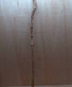 Straight Liana 2-3cm - Long - 7