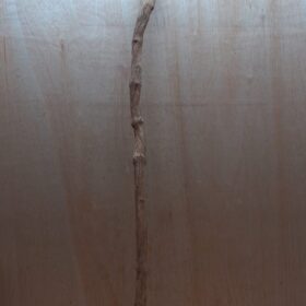 Straight Liana 2-3cm - Long - 7