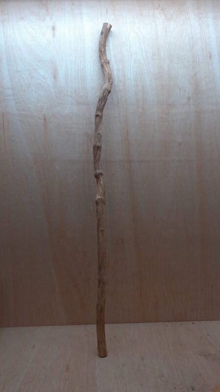 Straight Liana 2-3cm - Long - 7