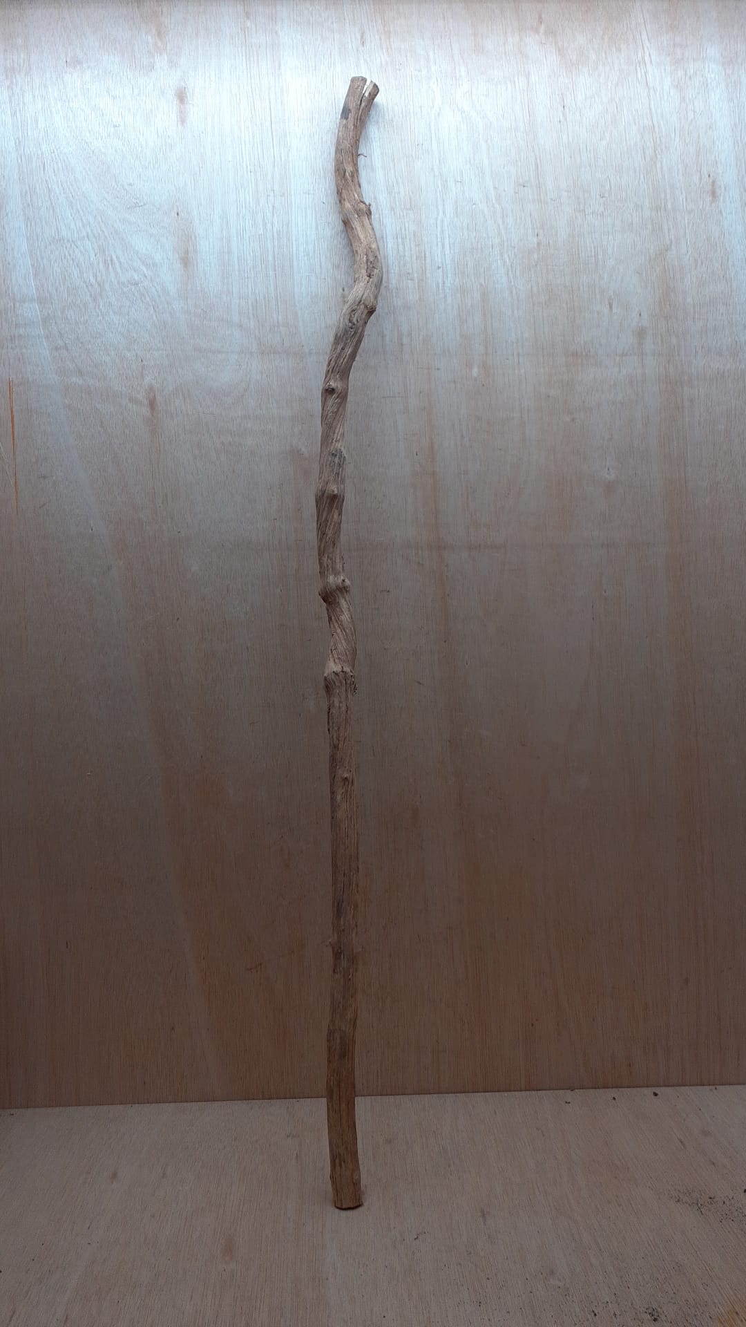 Straight Liana 2-3cm - Long - 7