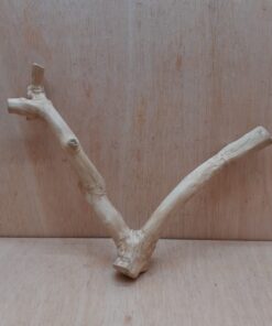 Java Wood - Double Stem - Medium 1