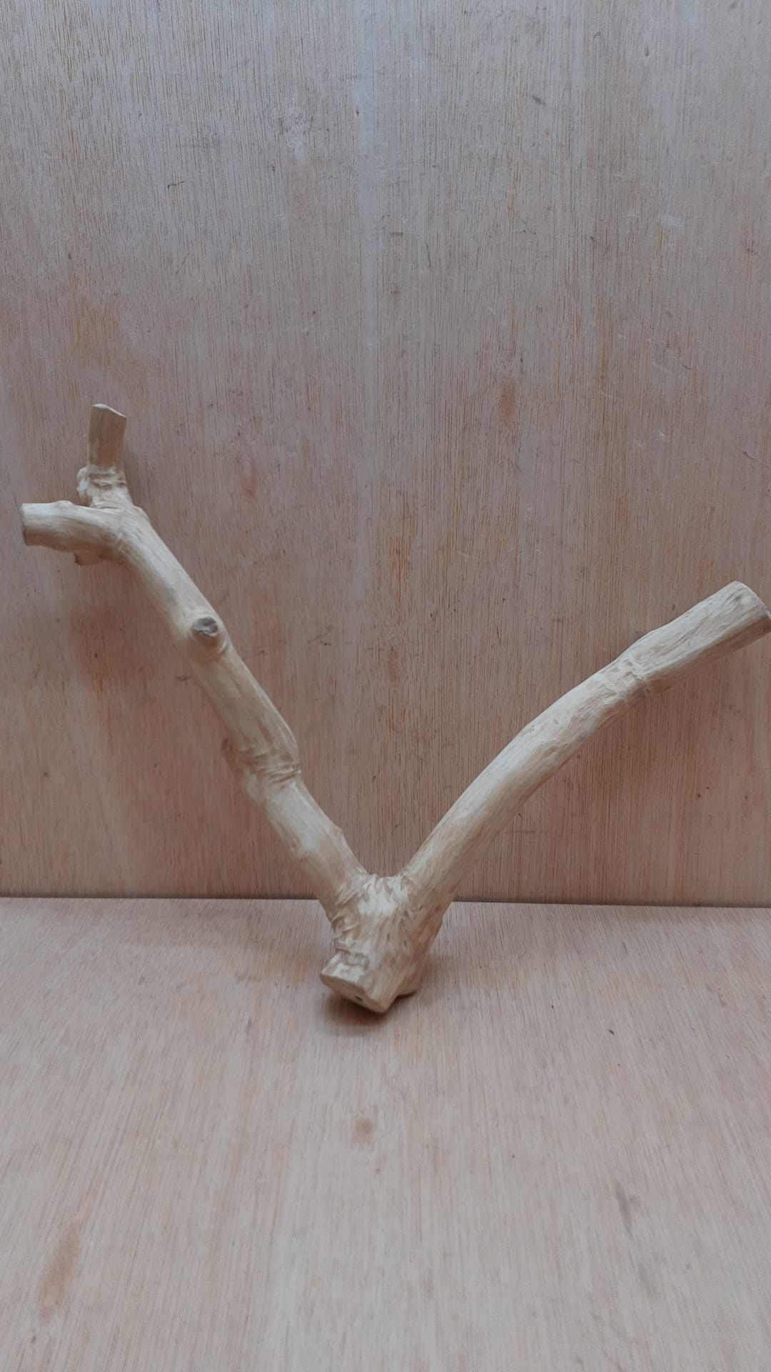 Java Wood - Double Stem - Medium 1